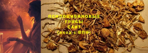 гашик Сафоново